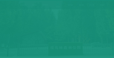 鄭州觀鳥(niǎo)林森林公園